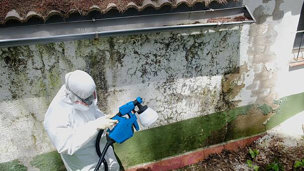 Trusted Bathroom Mold Removal service in State College, PA - Cheap Mold Removal